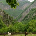 North Albania Boat - Activities