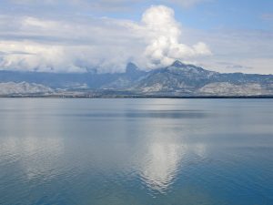 Shkodra Lake