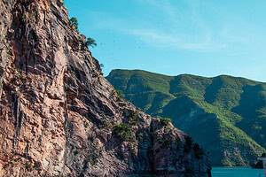 Close-up view looking up at a sheer reddish-brown limestone cliff face on Komani Lake with small trees clinging to the rock, birds in flight, and layered green Albanian Alps mountain ridges in the background under a clear blue sky