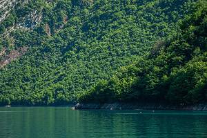 Dense lush green forest covering a steep hillside meeting the turquoise-green water of Komani Lake, with exposed grey rock at the waterline and a small rocky outcrop, seen from the boat during the Durres to Shala River tour, Albania
