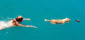 Dog swimming with its owner in the crystal-clear waters of Shala River, Albania, during a pet-friendly boat trip from Komani Lake