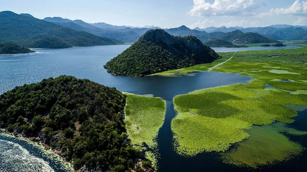 Aerial view of Lake Skadar with green water lilies, wooded hills and mountains in the background